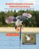 VEVOR Spinning Wing Motion Duck Decoys, Outdoor Teal Decoys for Hunting, Floating Duck for Pool, Pond, and Lake, Realistic Plastic Duck Hunting Decoy